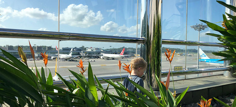 Airport Changi in Singapur - Dachterrasse mit Vegetation - Abenteuer für die Kinder - Dronezmeup Reiseblog by Philipp