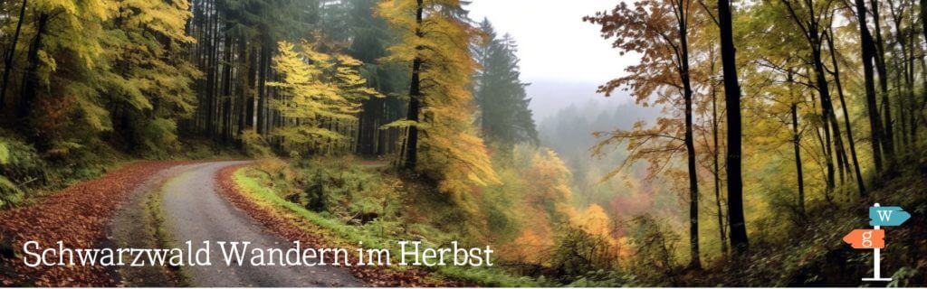 Wandern und Wanderrouten im Herbst im Schwarzwald - gesundwanderer.de