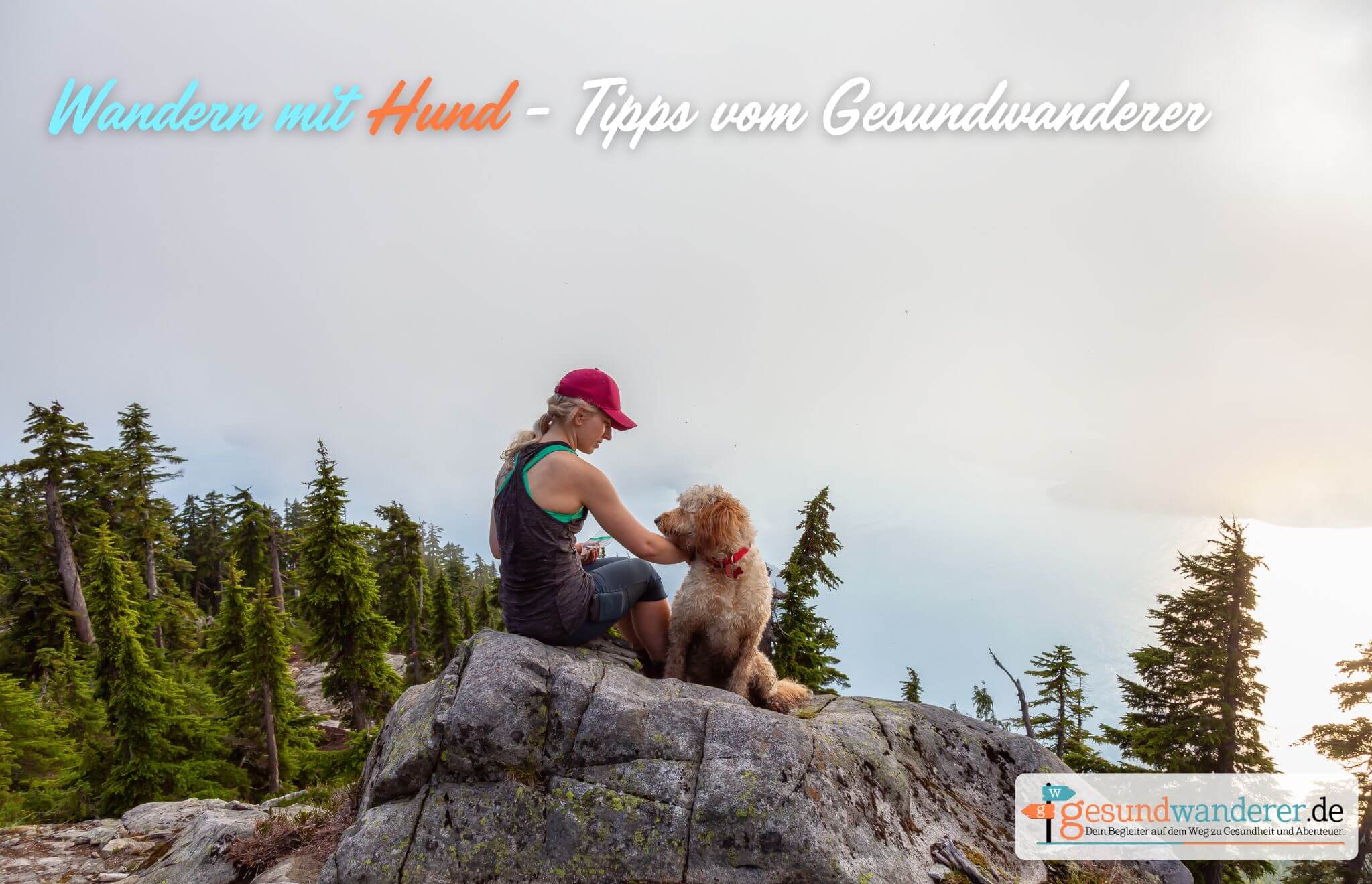 Wandern mit Hund - Gesundwanderer Blog Hilfe und Tricks bei der Wanderung