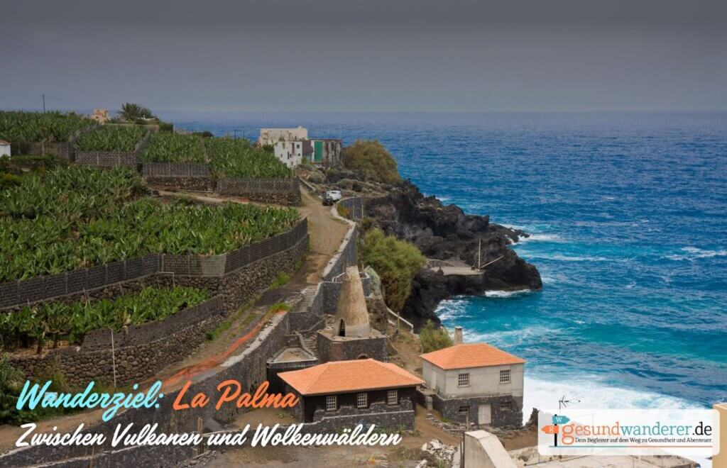 Wandern und Reisen: La Palma, kanarische Inseln - gesundwanderer wanderblog