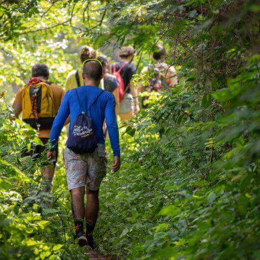 Gefuehrte Wandertouren - Ehrbachklamm Hunsrueck - gesundwanderer.de