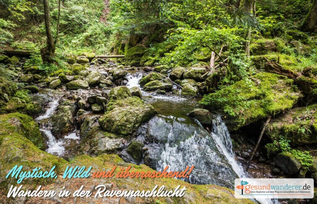 Mystisch, wild und überraschend nah: Wandern in der Ravennaschlucht mit dem Gesundwanderer.de