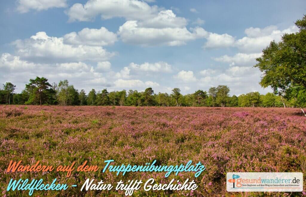 Wandern auf dem Truppenübungsplatz Wildflecken - Gesundwanderer Magazin
