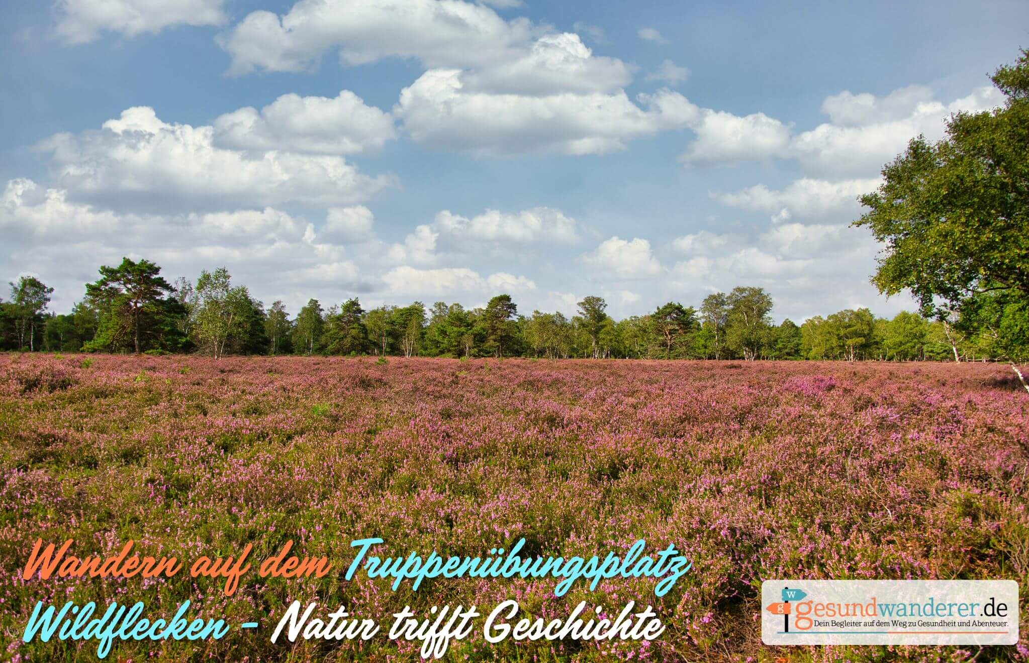 Wandern auf dem Truppenübungsplatz Wildflecken - Gesundwanderer Magazin