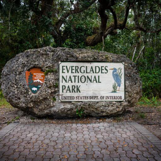 Wandern durch die Everglades in Florida - gesundwanderer.de