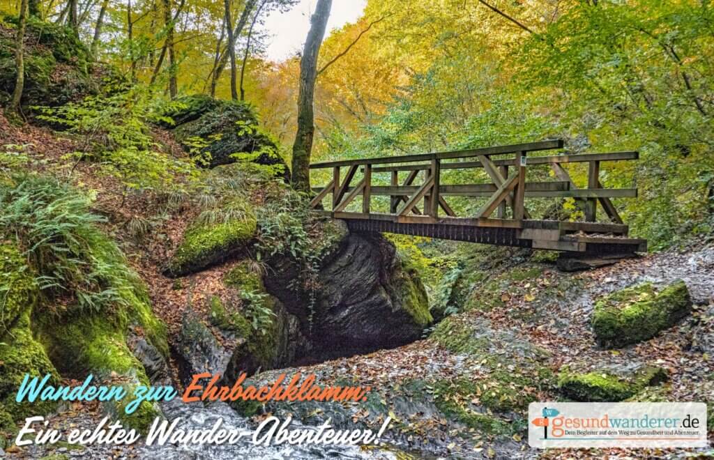 Wandern zur Ehrbachklamm: Ein echtes Wander-Abenteuer - gesundwanderer magazin