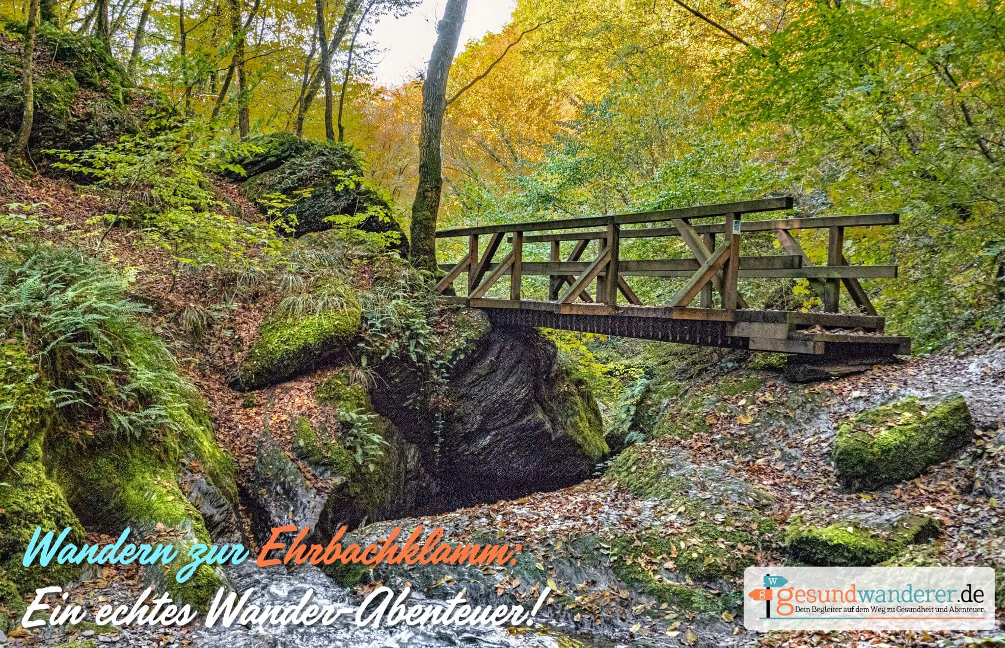 Wandern zur Ehrbachklamm: Ein echtes Wander-Abenteuer - gesundwanderer magazin