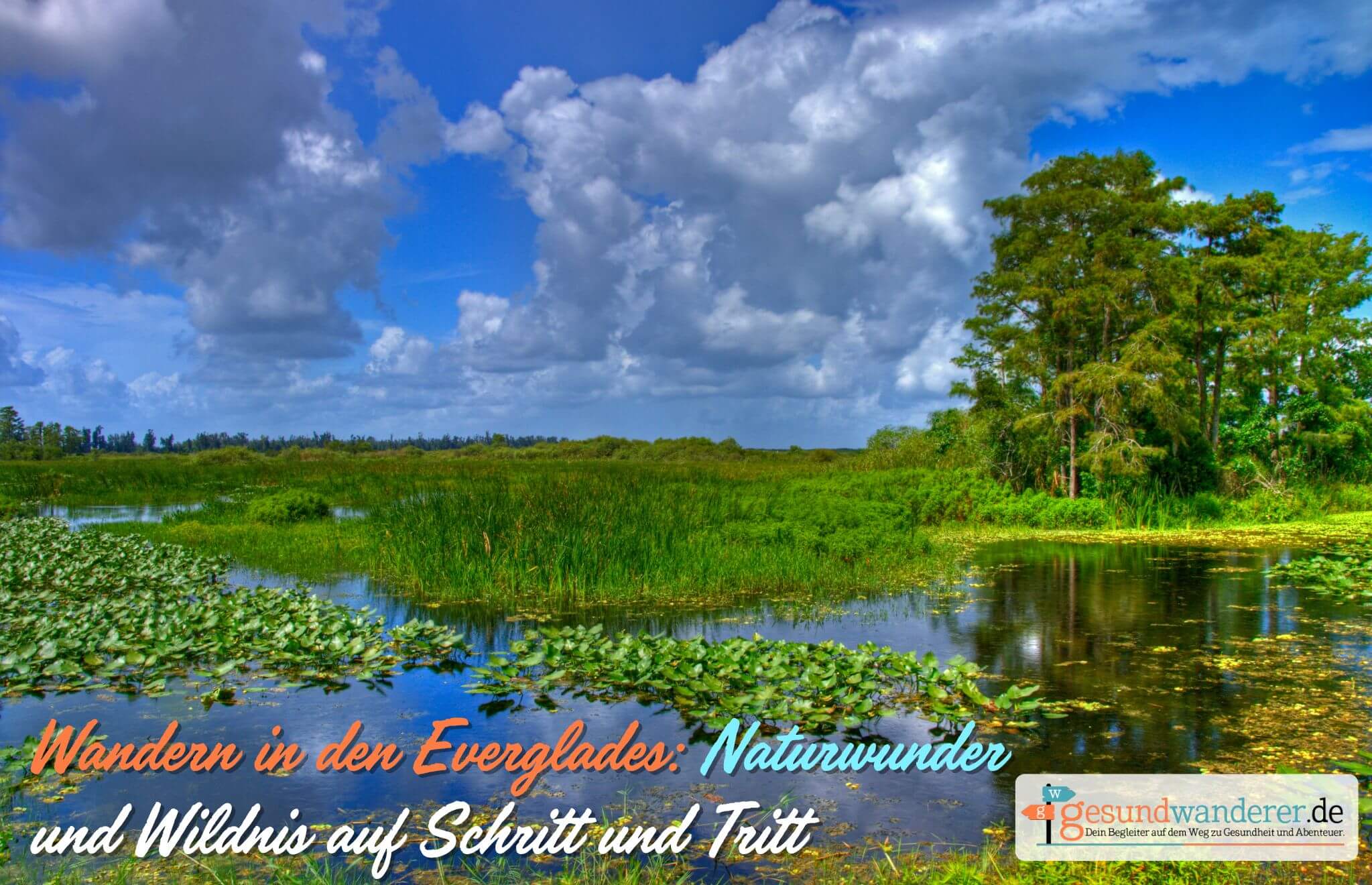 Wandern durch die Everglades in Florida - Gesundwanderer Magazin