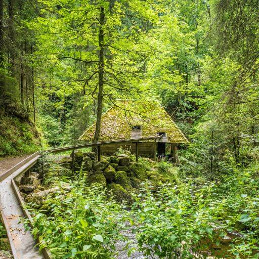 Historische Mühlen und klappernde Wasserräder - Wanderung Ravennaschlucht mit dem gesundwanderer.de