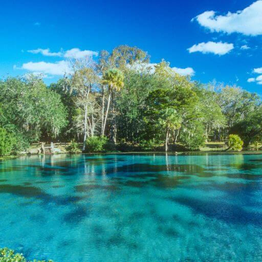 Florida Springs und Preserves beim Wandern erkunden - gesundwanderer.de
