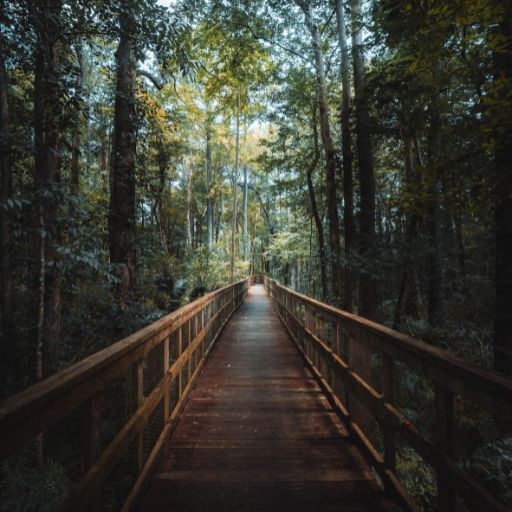 Florida wandern durch Preserves und Naturwunder - gesundwanderer.de