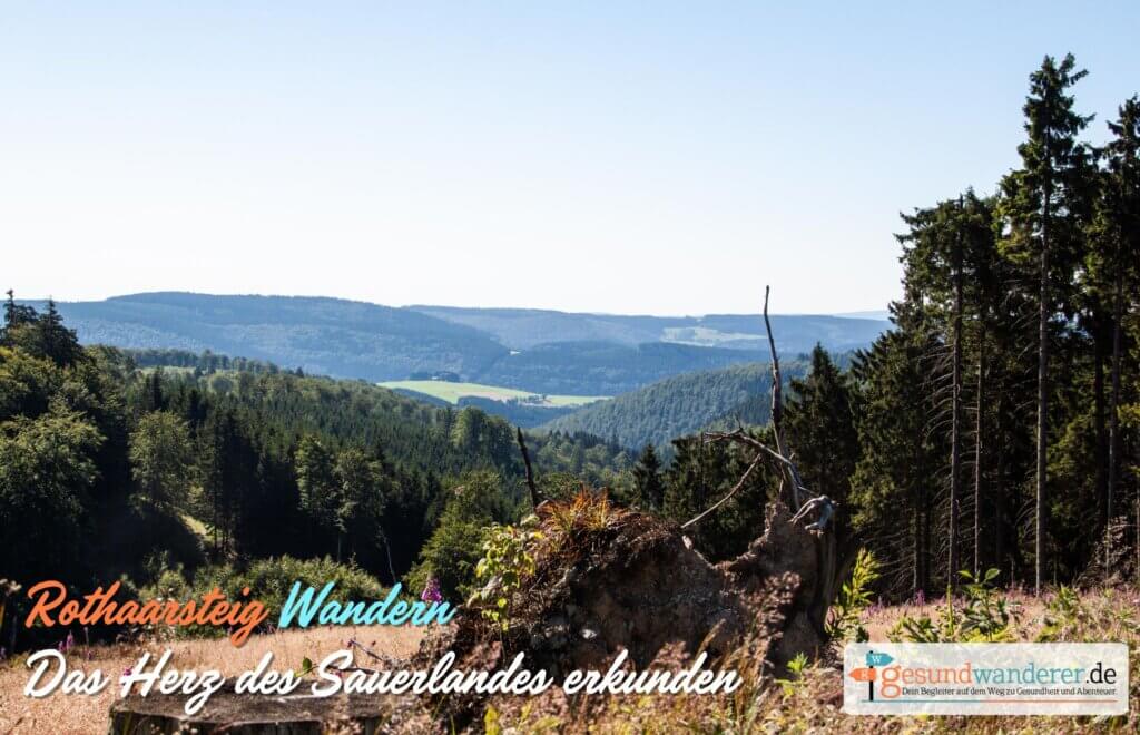 Rothaarsteig im Sauerland wandern - gesundwanderer magazin