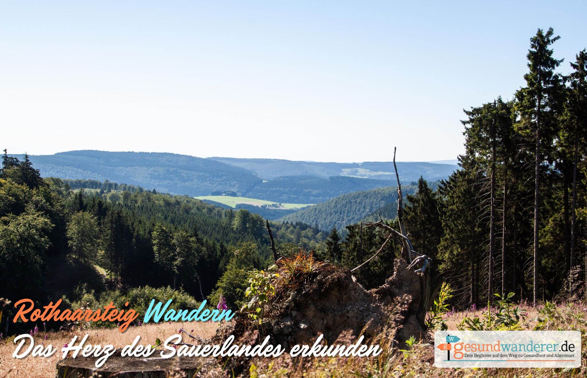 Rothaarsteig im Sauerland wandern - gesundwanderer magazin