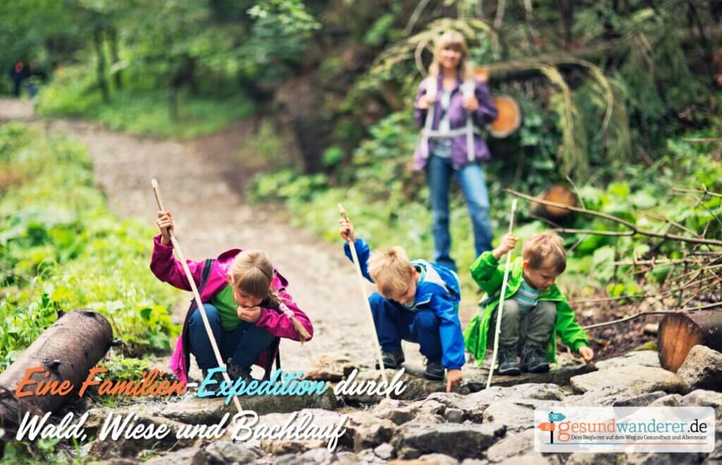 Wandern mit Kindern Familienexpedition durch Wald Wiese und Bachlauf - gesundwanderer magazin