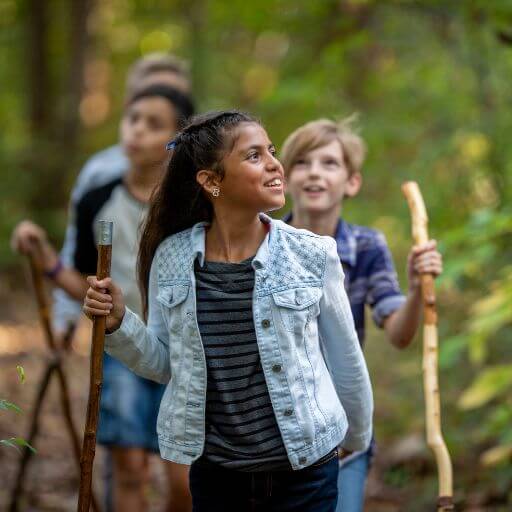 Wandern mit Kindern durch den Wald - gesundwanderer.de
