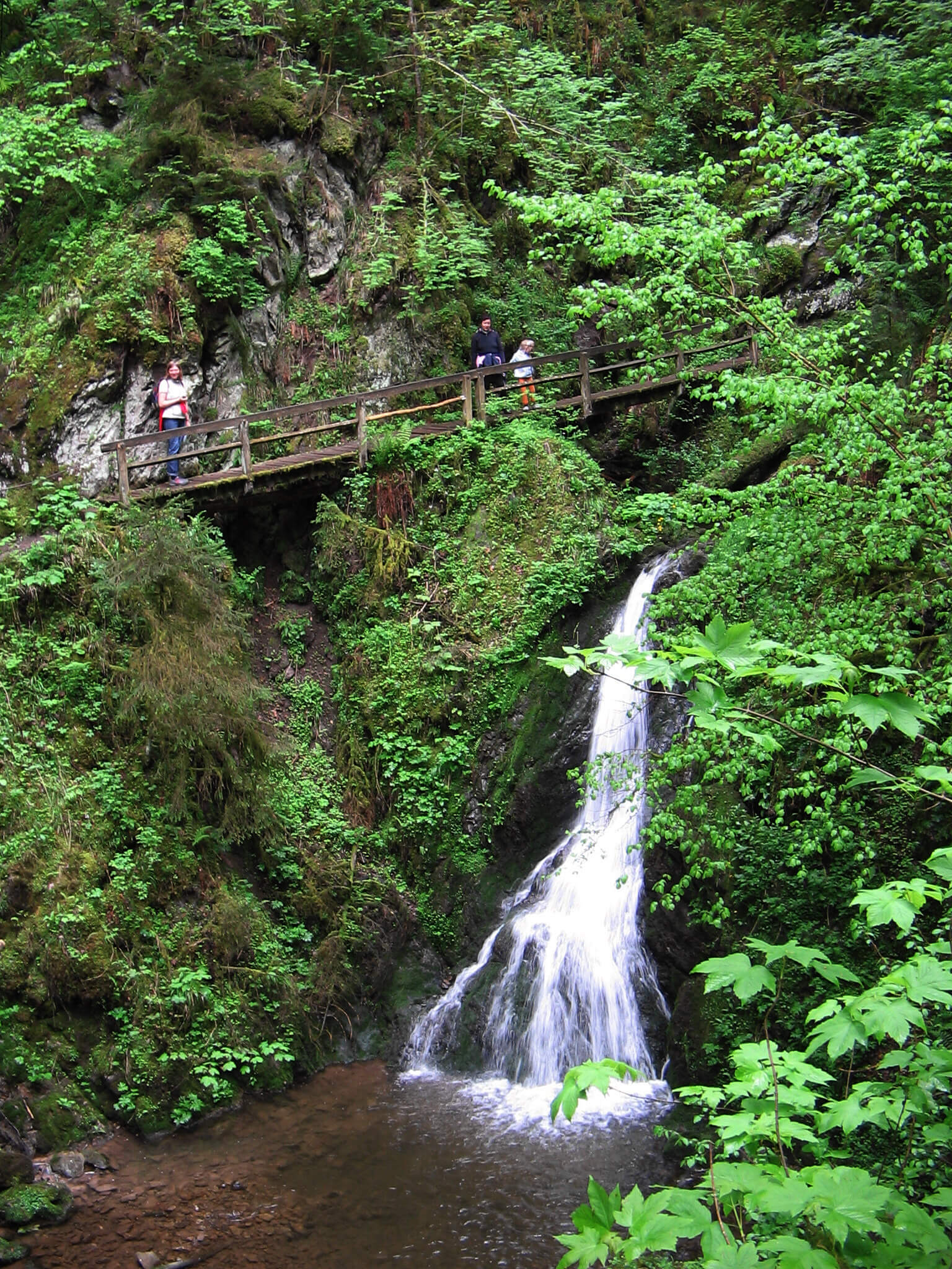 Holzsteg und Wasserfall in der Lotenbachklamm