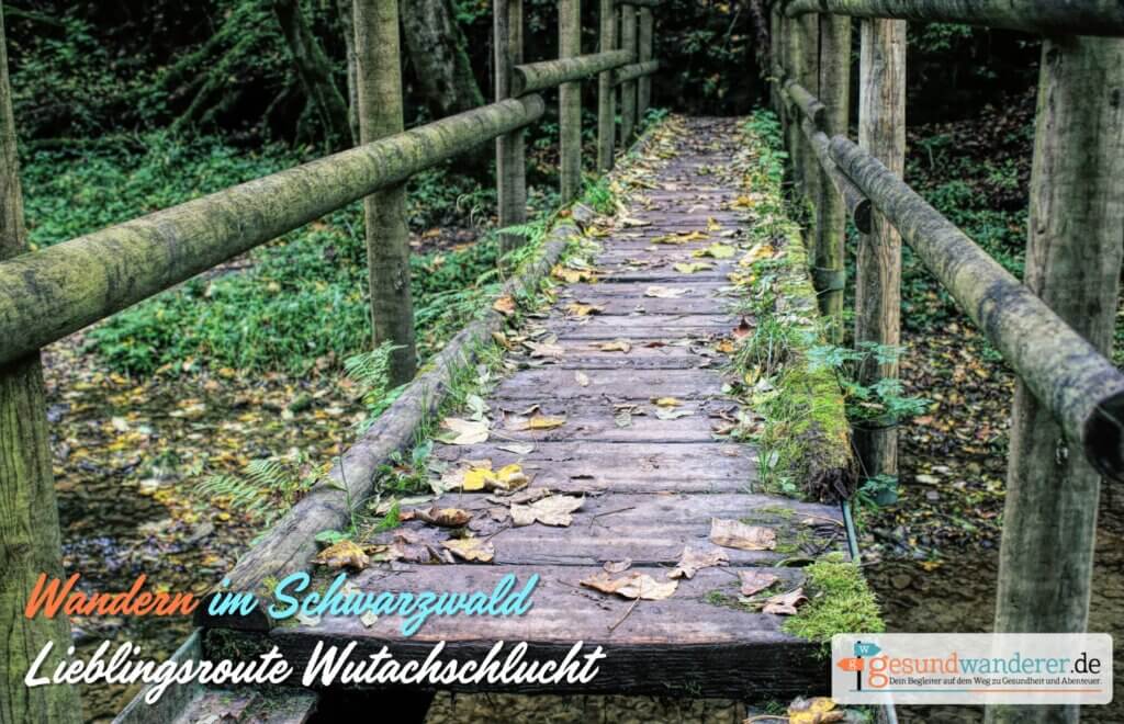 Wandern im Schwarzwald: Neue Lieblingsroute durch die Wutachschlucht - gesundwanderer.de