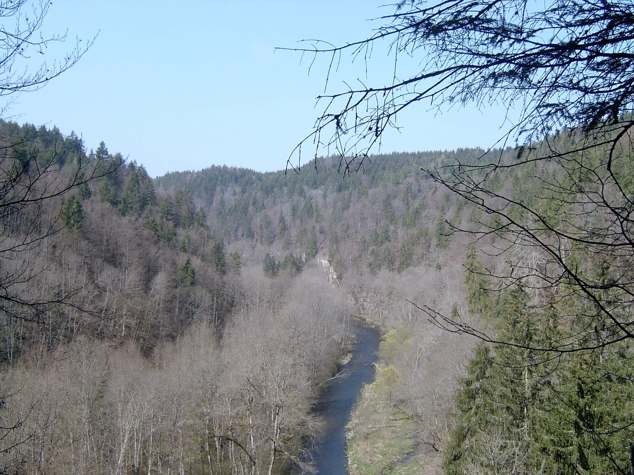 Blick in die Wutachschlucht mit Flusslauf und Felswänden