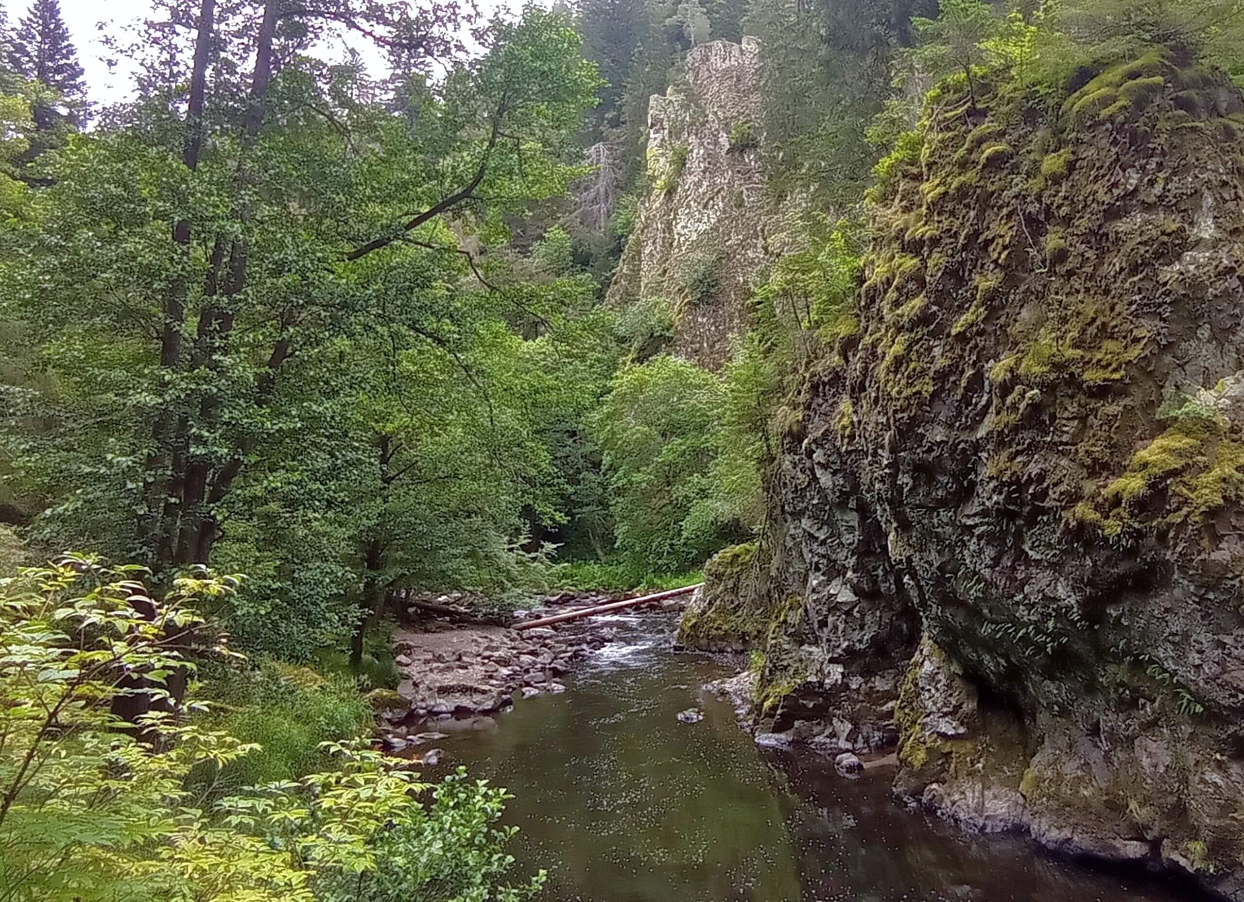 Ruhiger Flussabschnitt mit Felswänden in der oberen Wutachschlucht