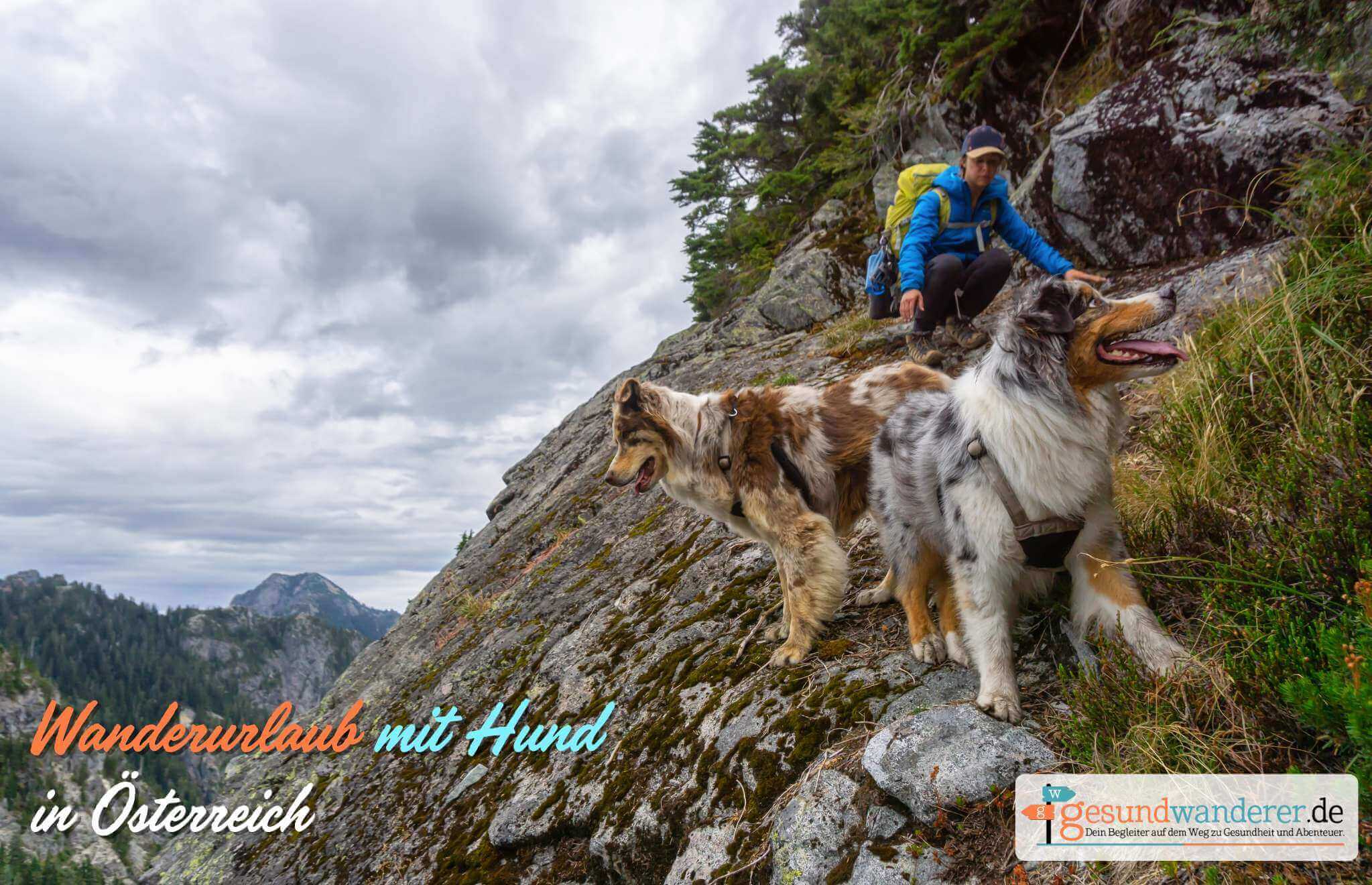 Wanderurlaub mit Hunden in Oesterreich im gesundwanderer Magazin