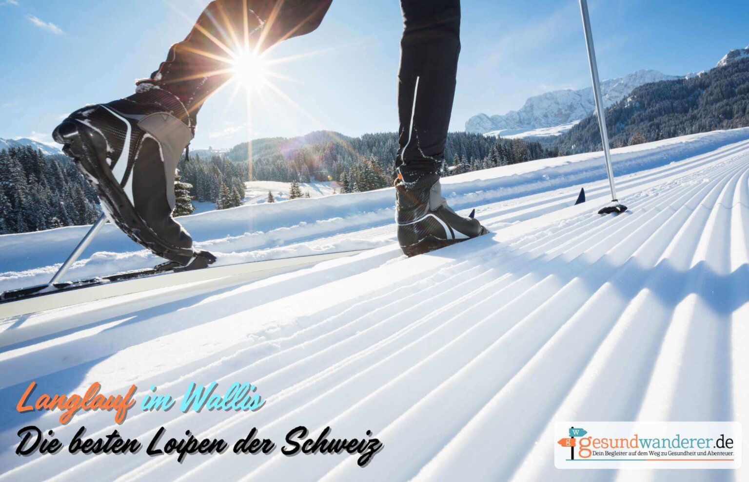 Sportlicher Langlauf im Wallis auf schneesicherer Höhenloipe bei Sonnenschein mit gesundwanderer.de