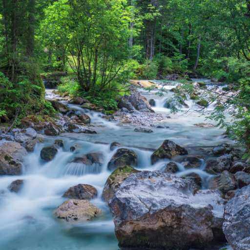 Platz 1 des Wälder Rankings belegt der Zauberwald bei Ramsau in Bayern -gesundwanderer.de