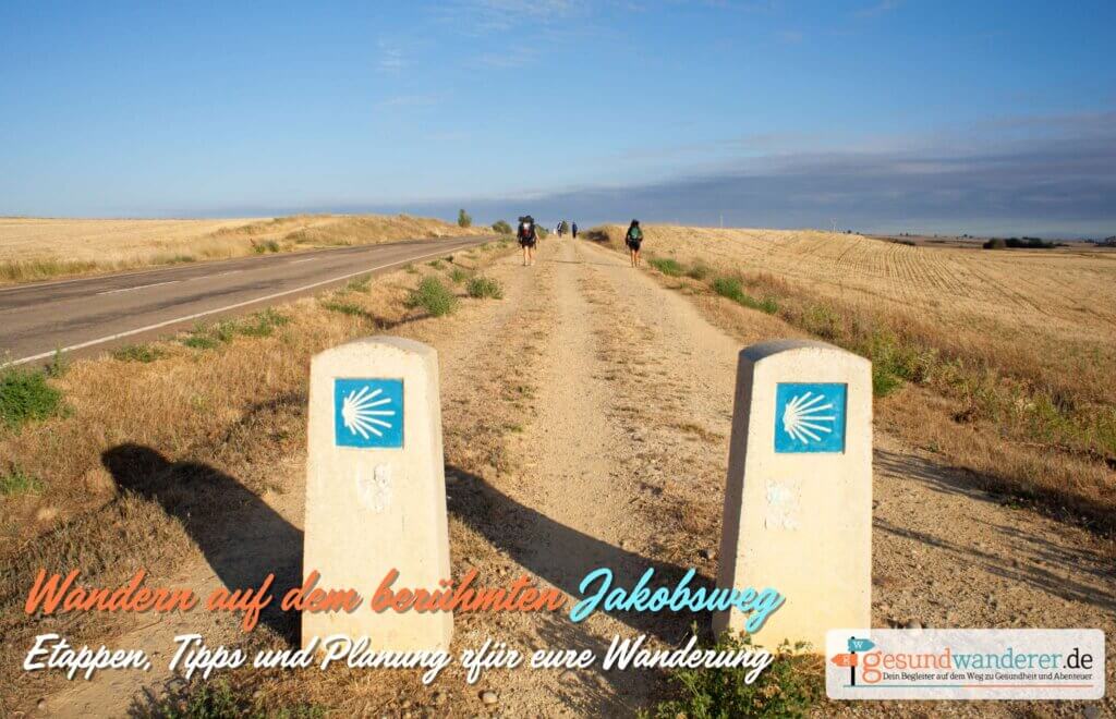 Wandern auf dem berühmten Jakobsweg - gesundwanderer magazin