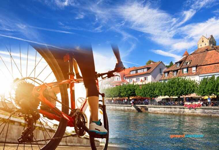 Montage mit Fahrrad und Meersburger Ufer