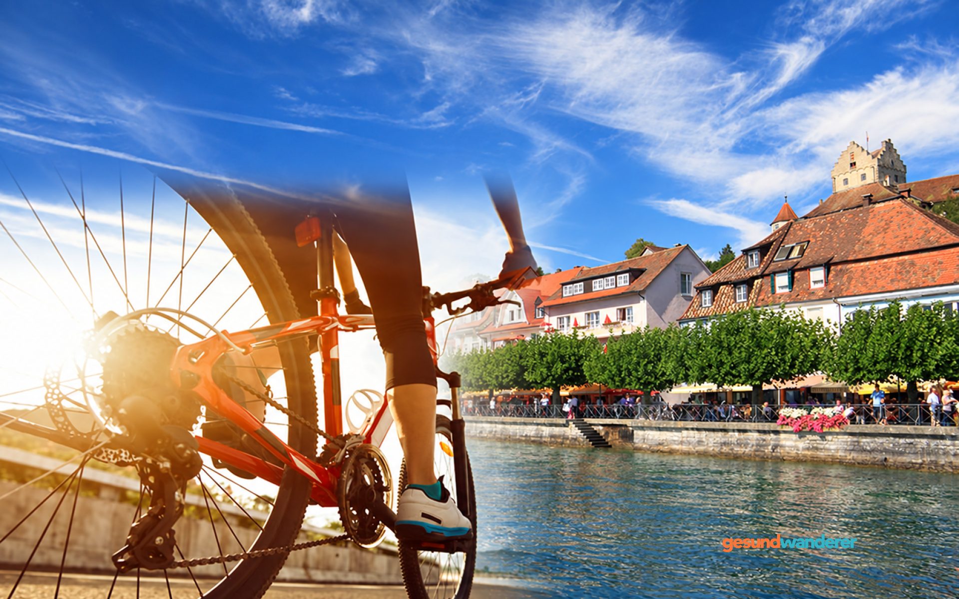 Montage mit Fahrrad und Meersburger Ufer