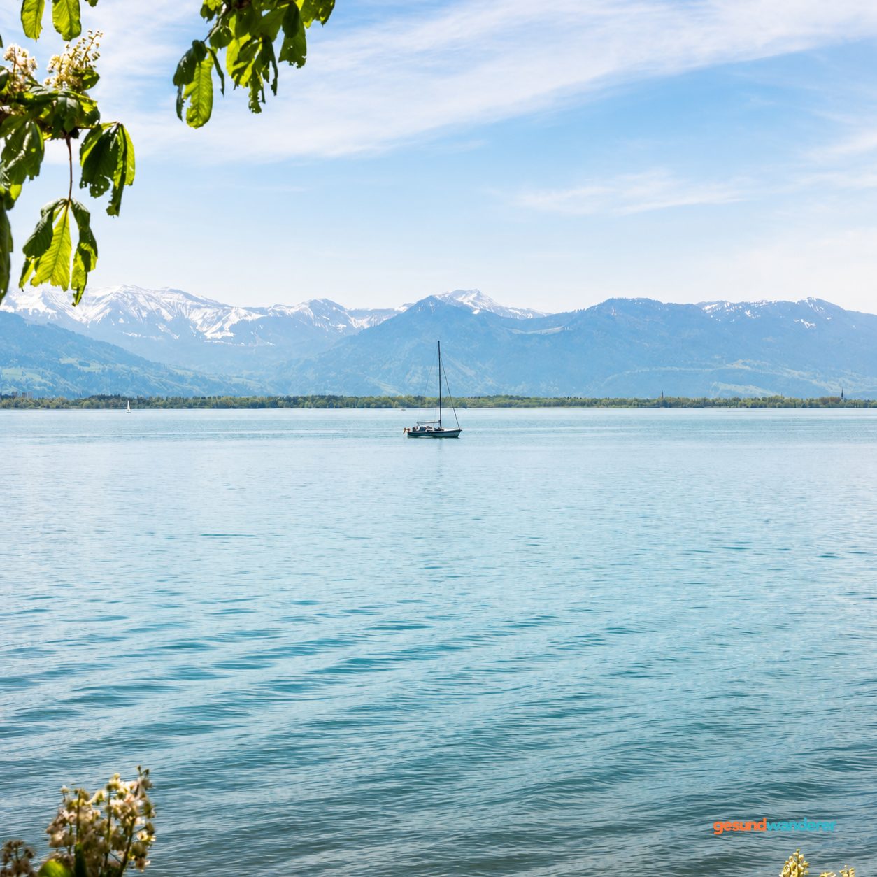 Segelboot auf dem Bodensee vor den Alpen