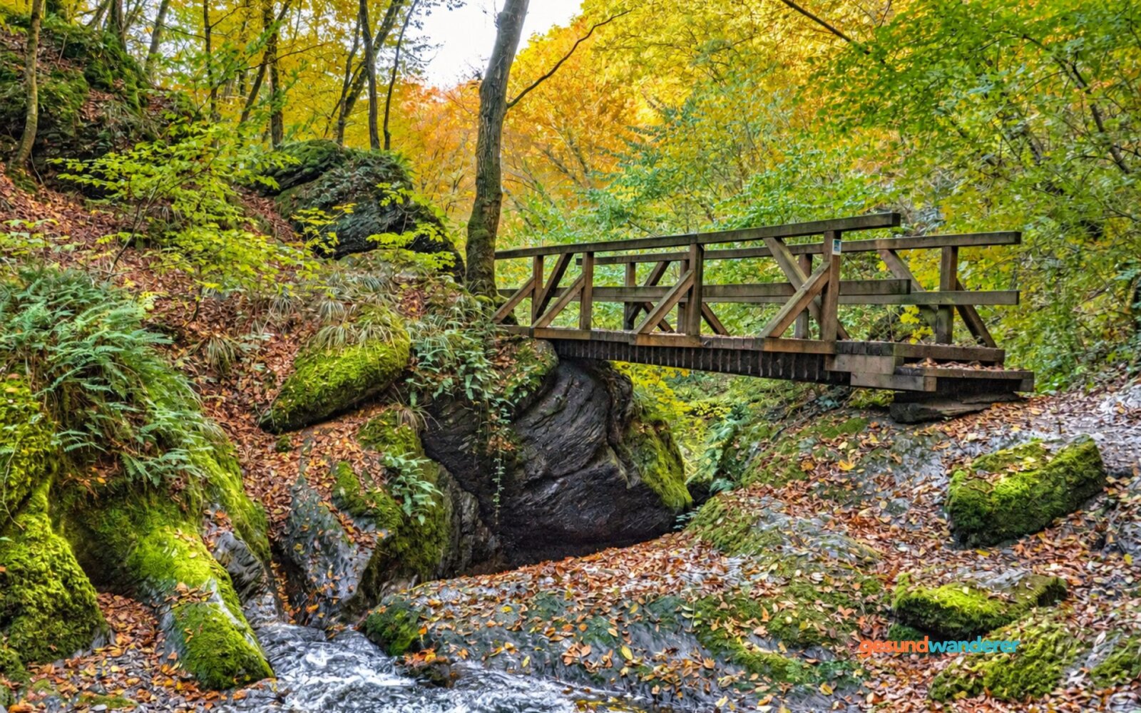 Holzbrücke über einen Bach zwischen Felsen im Wald