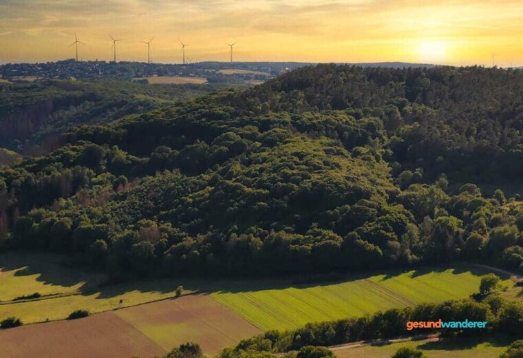 Bewaldete Hügel und Wiesen in der Eifel