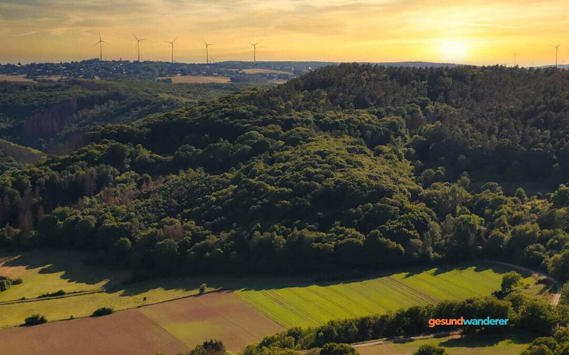 Bewaldete Hügel und Wiesen in der Eifel