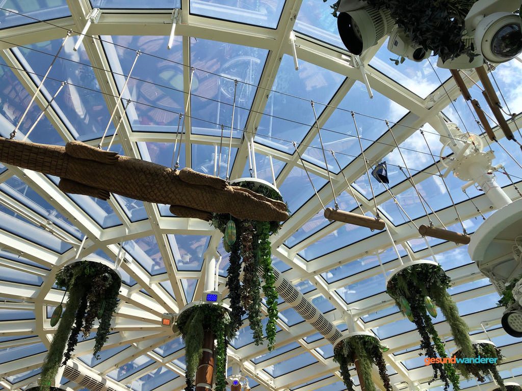 Hochseilgarten unter dem Glasdach des Four Elements auf AIDAnova