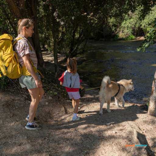 Gemeinsam mit Hund auf einem Wanderweg