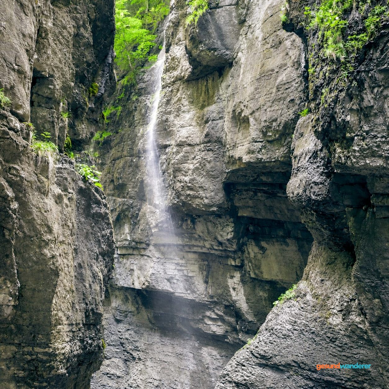 Wasserfall zwischen bewachsenen Felswänden