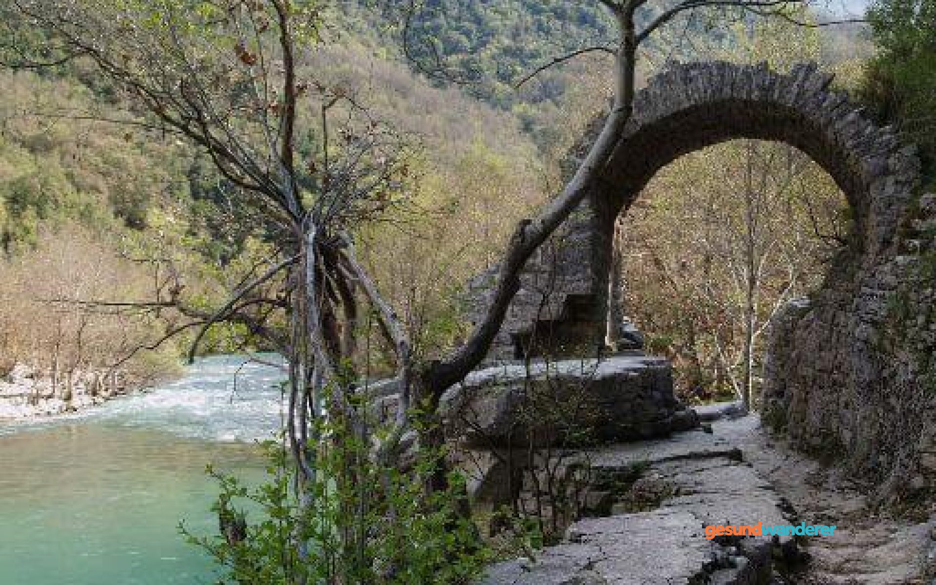 Illustration einer Flusslandschaft mit Steinbrücke