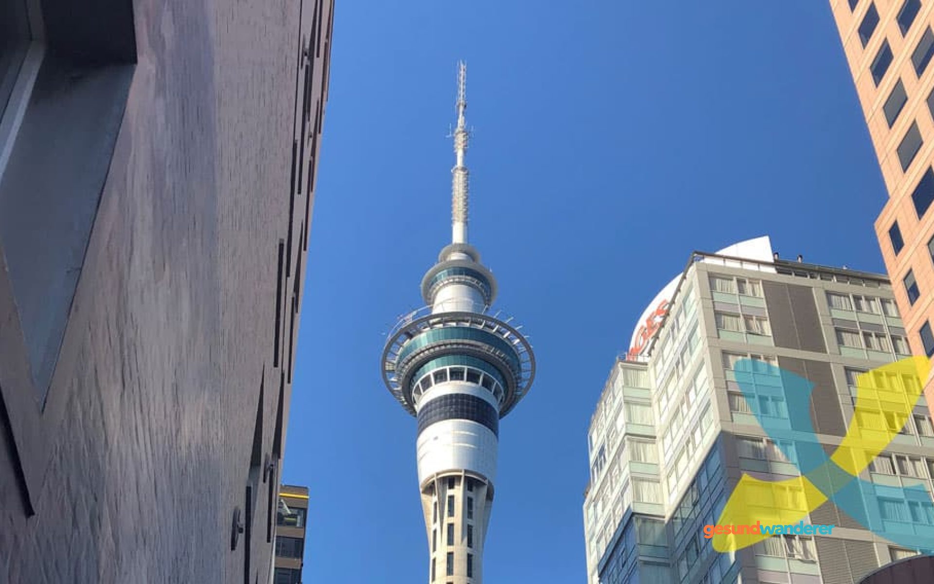 Blick nach oben auf den Sky Tower in Auckland