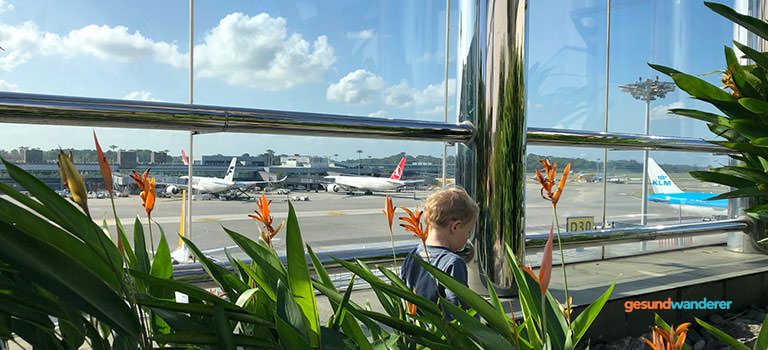 Dachterrasse am Flughafen Changi mit tropischer Bepflanzung