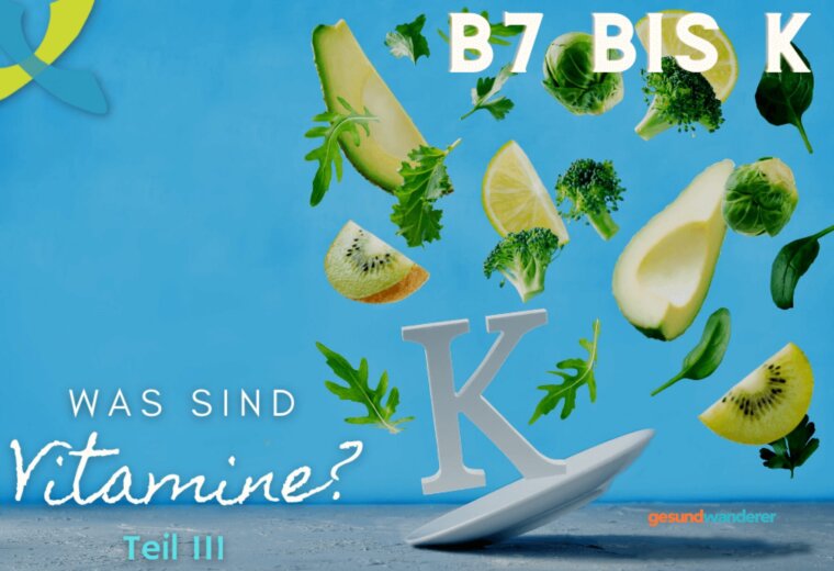 Illustration zum Überblick über Vitamine B7 bis K