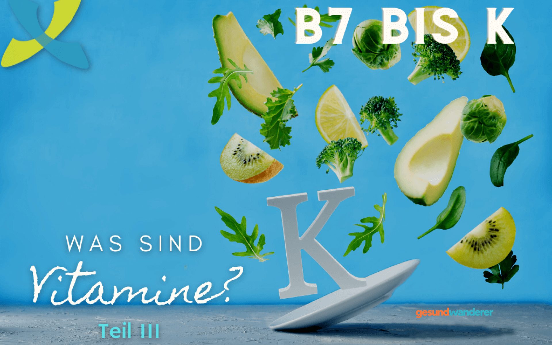 Illustration zum Überblick über Vitamine B7 bis K