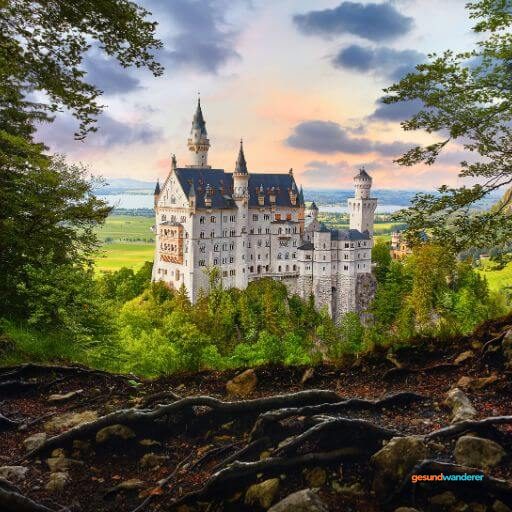 Illustration einer Waldlandschaft mit Schloss Neuschwanstein