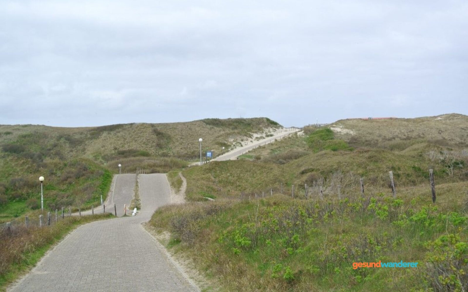 Radweg durch die Dünenlandschaft auf Texel