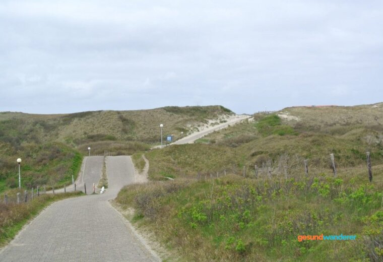 Radweg durch die Dünenlandschaft auf Texel