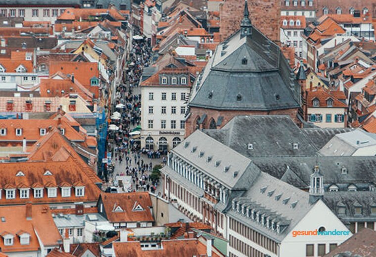 Blick über Dächer und eine Kirche in Heidelberg