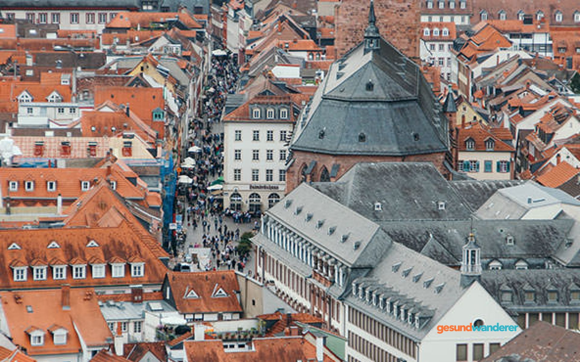 Blick über Dächer und eine Kirche in Heidelberg