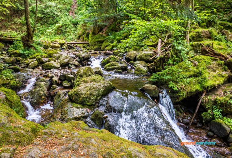 Bach zwischen Steinen und bewaldeten Hängen