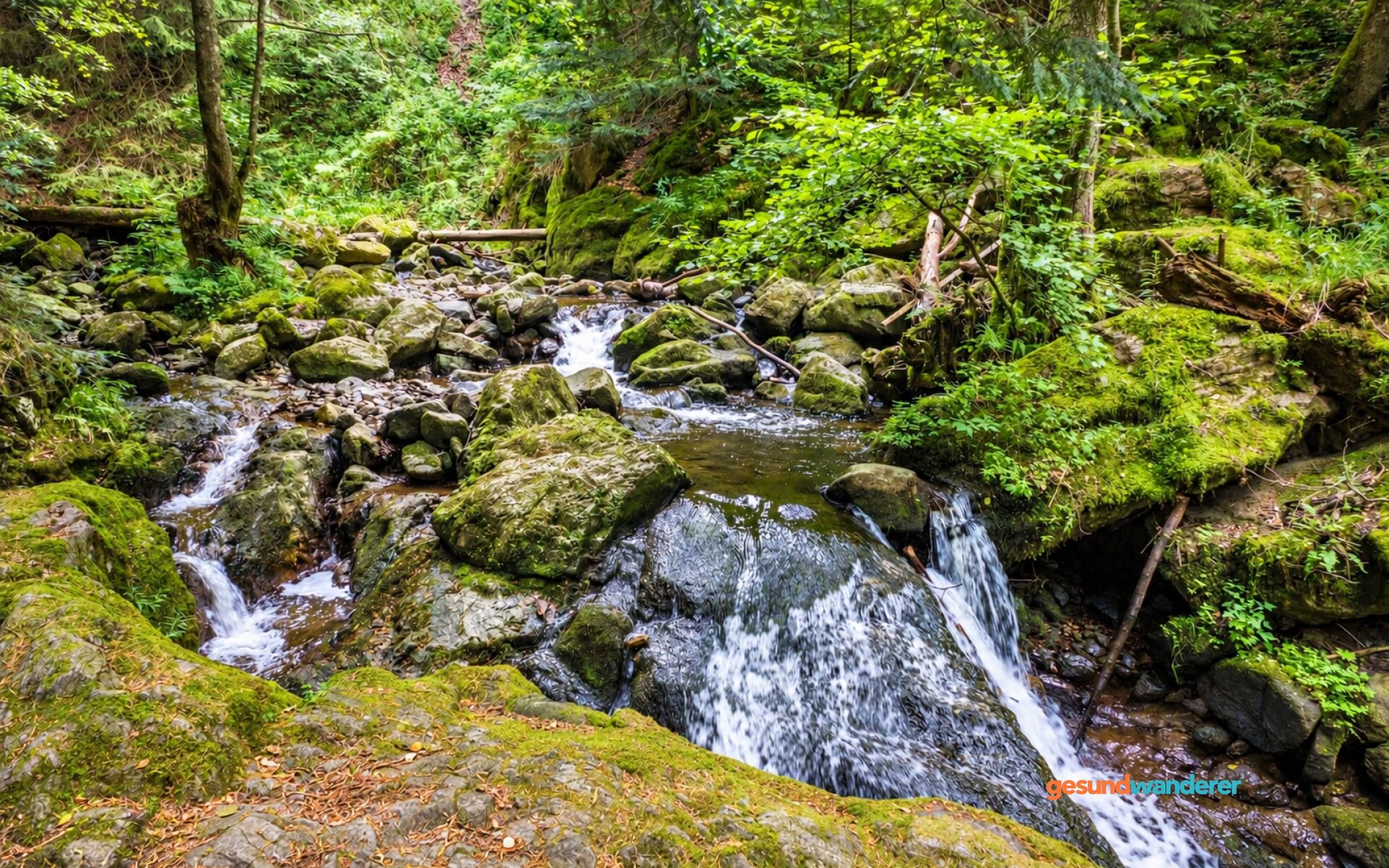 Bach zwischen Steinen und bewaldeten Hängen