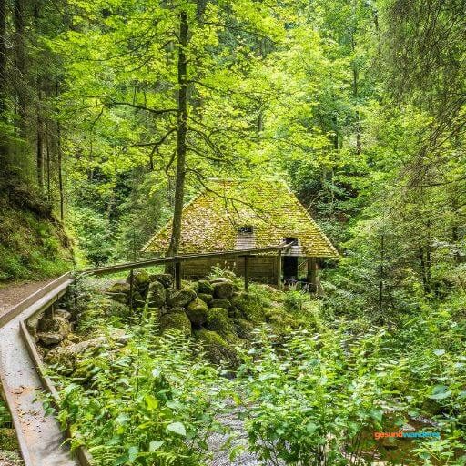 Mühlengebäude zwischen Bäumen am Waldweg