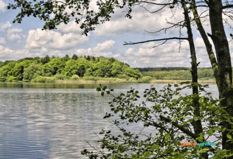 See im Westerwald mit bewaldetem Ufer und Spiegelung im Wasser